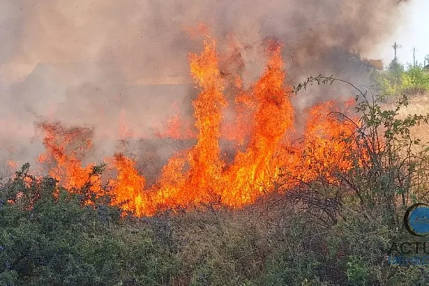 Pompierii luptă cu flăcările la Ostrovu Corbului și Șimian. Incendiile amenință locuințele
