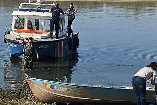 Zeci de sturioni au fost eliberați în Dunăre, la Gruia
