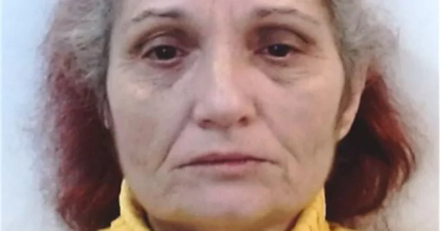 Alertă! O mehedințeancă a dispărut după ce a plecat din Germania spre România
