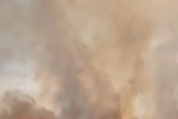 Bărbat de 64 de ani, amendat cu 15.000 lei după ce a dat foc vegetației uscate în Vânjuleț