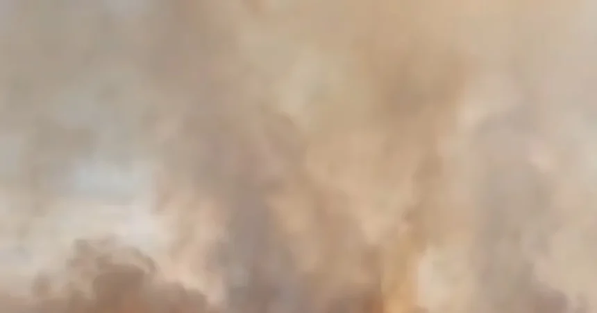 Bărbat de 64 de ani, amendat cu 15.000 lei după ce a dat foc vegetației uscate în Vânjuleț