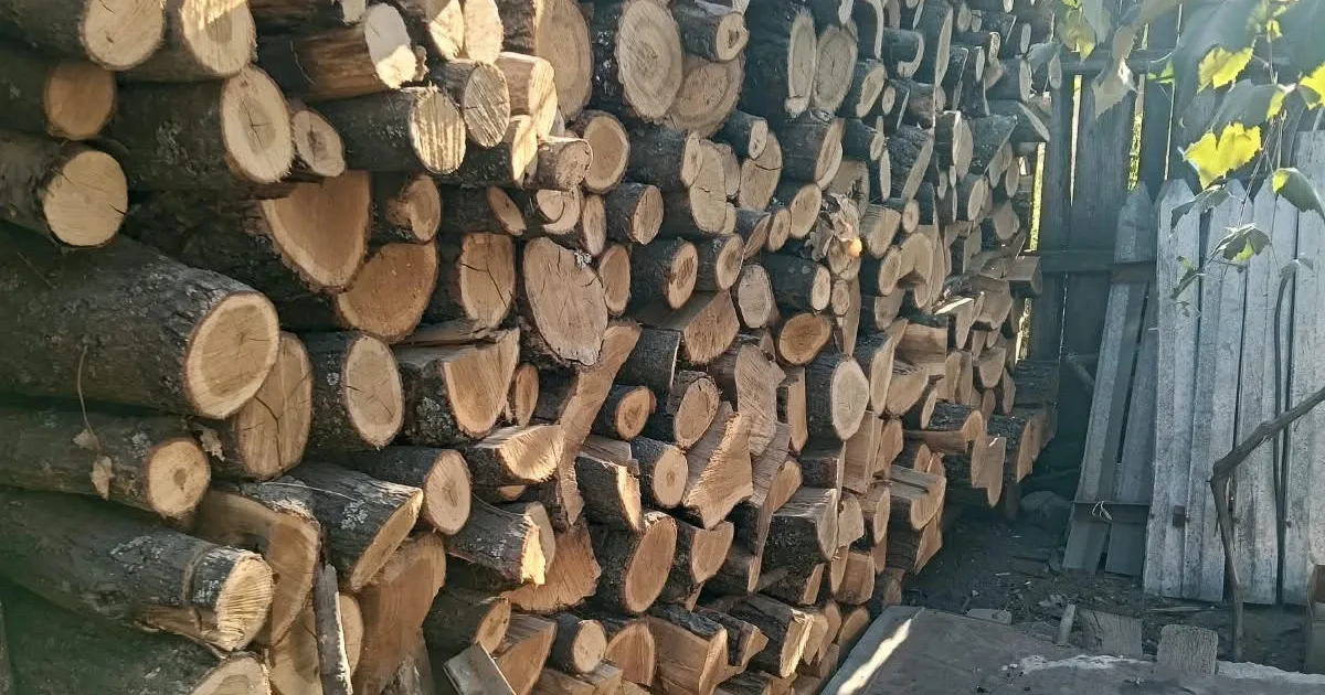 Bărbat din Grozești, cercetat de poliție după ce a furat lemne dintr-o pădure
