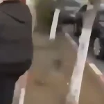 Dosar penal după scandalul din Gârla Mare. Trei bărbați din Punghina, vizați de anchetă