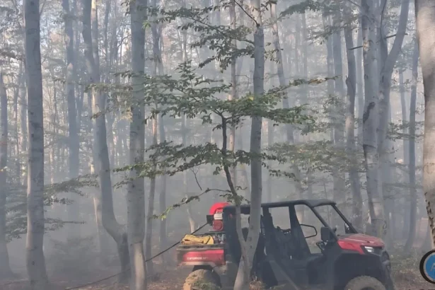 Incendii în Podeni și Crivița-Lazuri: două elicoptere Black Hawk sprijină pompierii