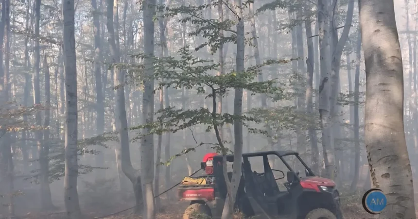 Incendii în Podeni și Crivița-Lazuri: două elicoptere Black Hawk sprijină pompierii