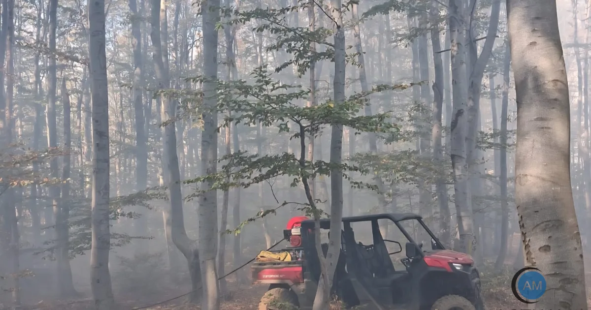 Incendii în Podeni și Crivița-Lazuri: două elicoptere Black Hawk sprijină pompierii