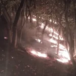 Incendiu de zile întregi pe munte. Pompierii urcă ore întregi spre flăcări