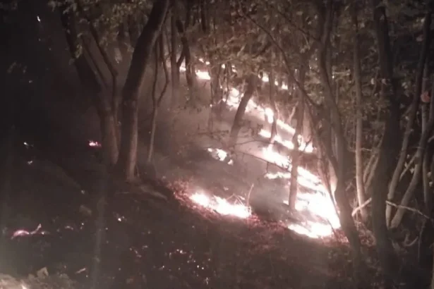 Incendiu de zile întregi pe munte. Pompierii urcă ore întregi spre flăcări