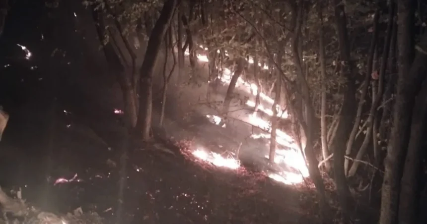 Incendiu de zile întregi pe munte. Pompierii urcă ore întregi spre flăcări