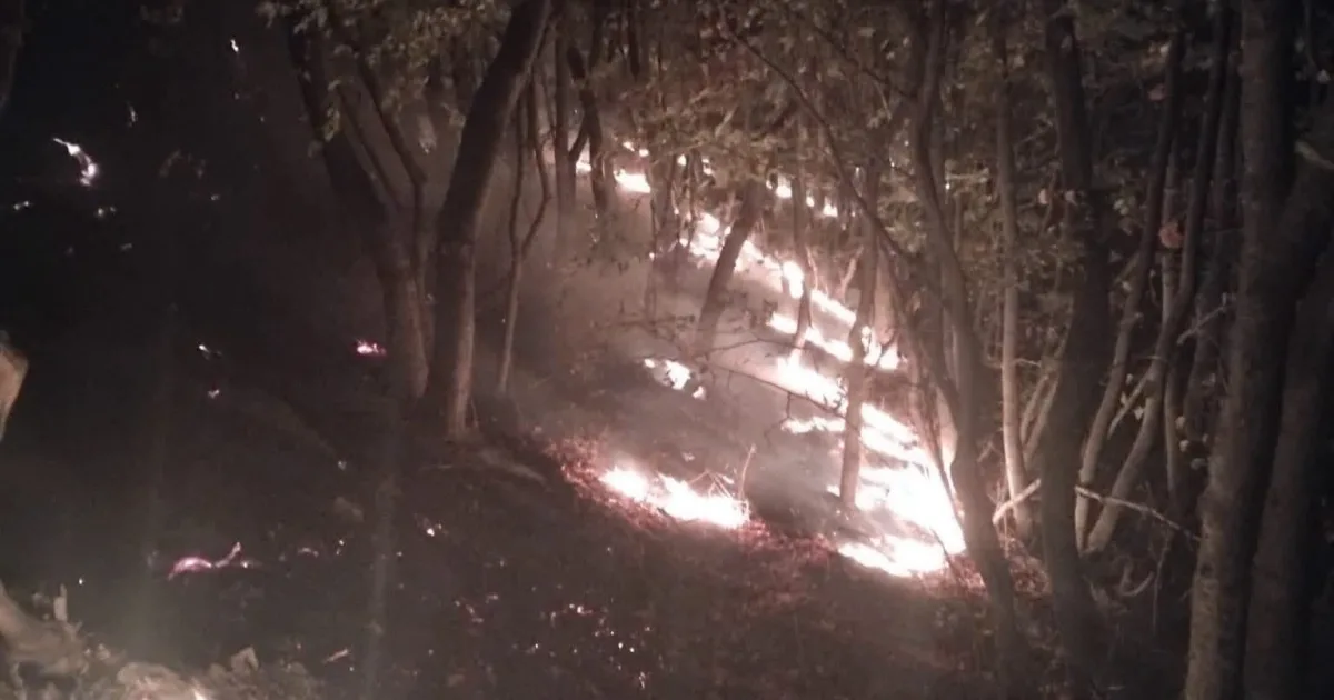 Incendiu de zile întregi pe munte. Pompierii urcă ore întregi spre flăcări