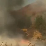Incendiu puternic la Cerna-Vârf: ard vegetația uscată și o pădure de pin