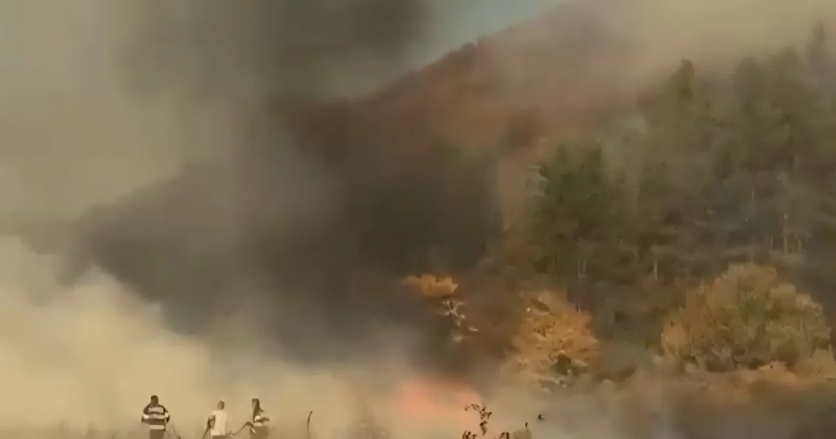 Incendiu puternic la Cerna-Vârf: ard vegetația uscată și o pădure de pin