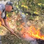 Parcul Natural Porțile de Fier: 400 de hectare afectate de incendiu!