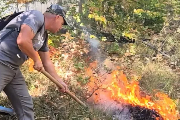 Parcul Natural Porțile de Fier: 400 de hectare afectate de incendiu!
