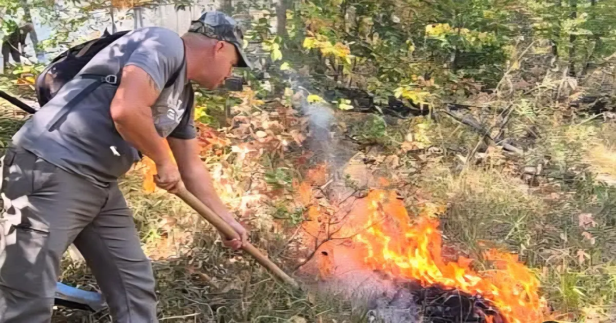 Parcul Natural Porțile de Fier: 400 de hectare afectate de incendiu!